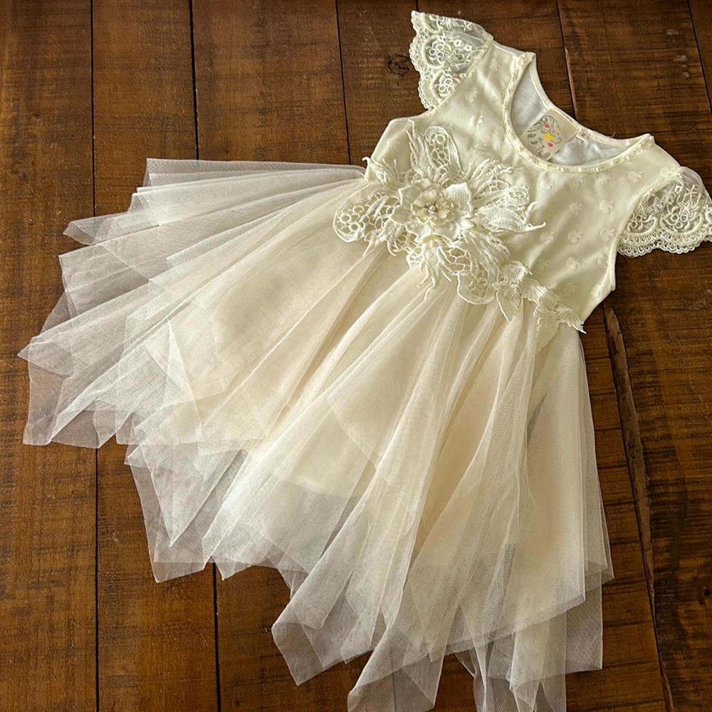 Beautiful lace appliqué dress